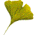 �t