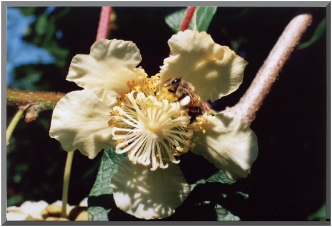 ���Ԃ̃A�b�v�ʐ^�P