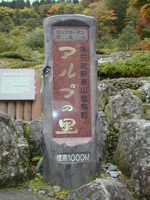 �A���v�̗�