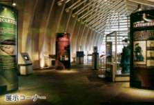 �W���R�[�i�[