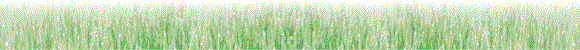 ���͗l