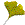�t
