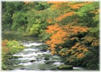 照葉峡の写真